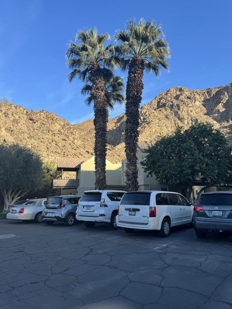 MLS #219130336DA image #20