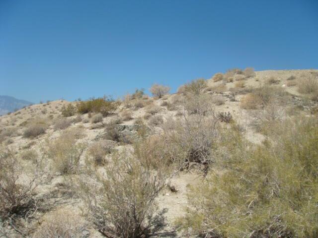 MLS #219130300DA image #1