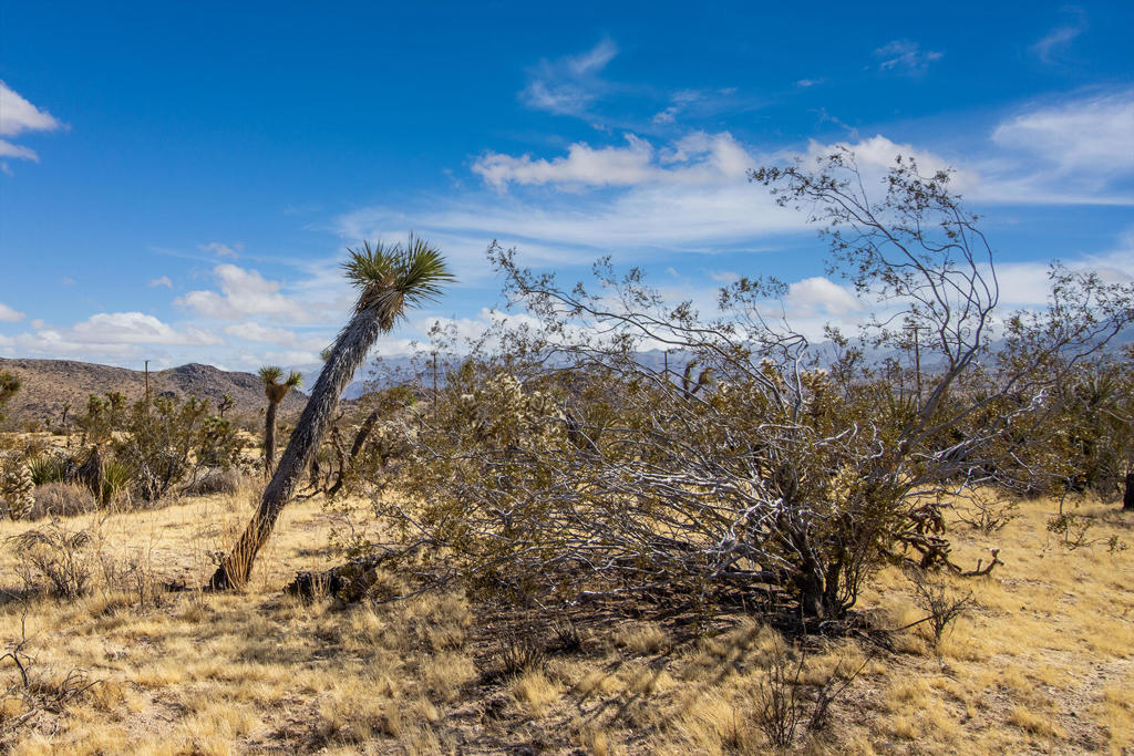 MLS #219130826PS image #11