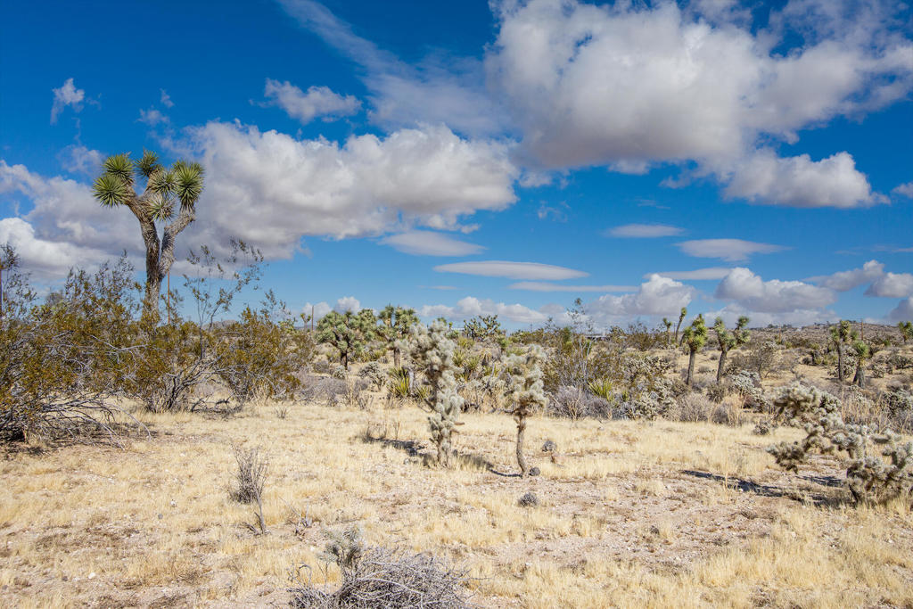 MLS #219130826PS image #13