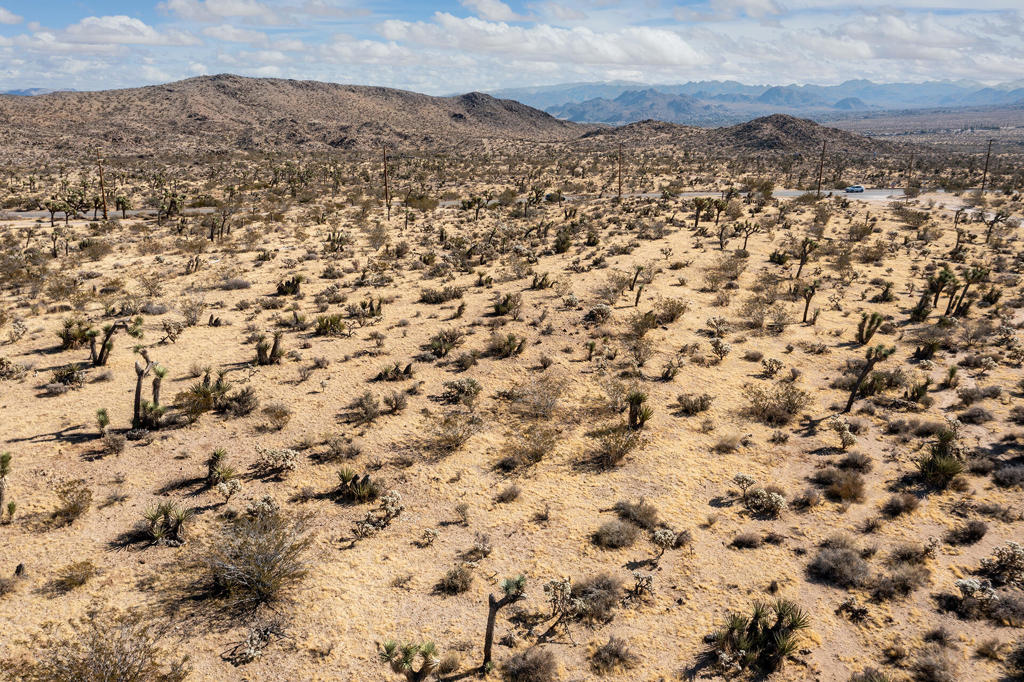 MLS #219130826PS image #16