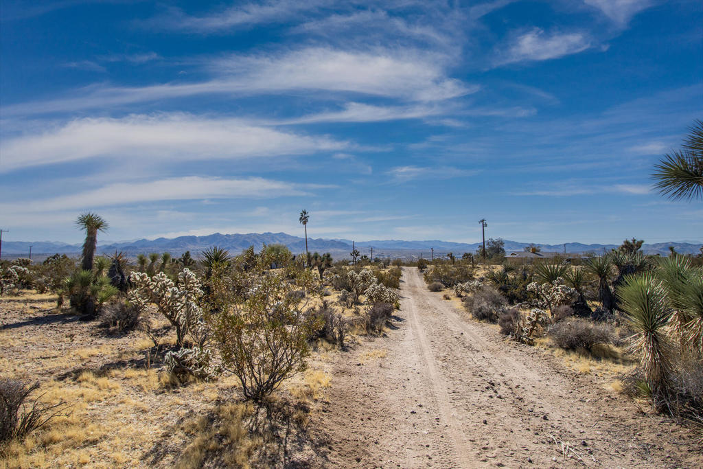 MLS #219130826PS image #17