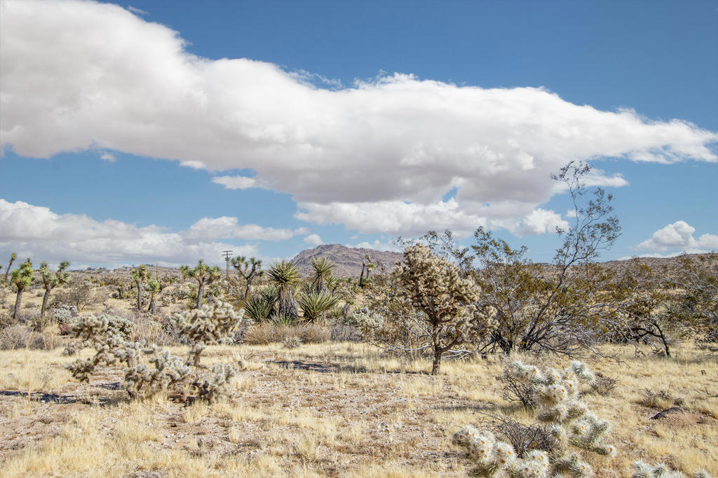 MLS #219130826PS image #18