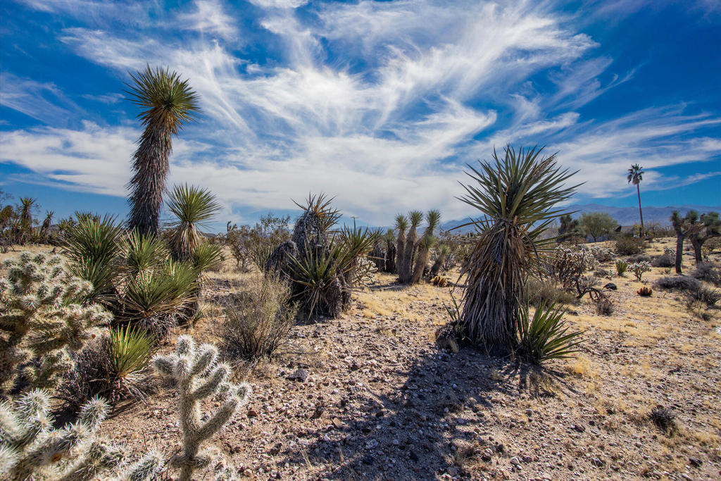 MLS #219130826PS image #19