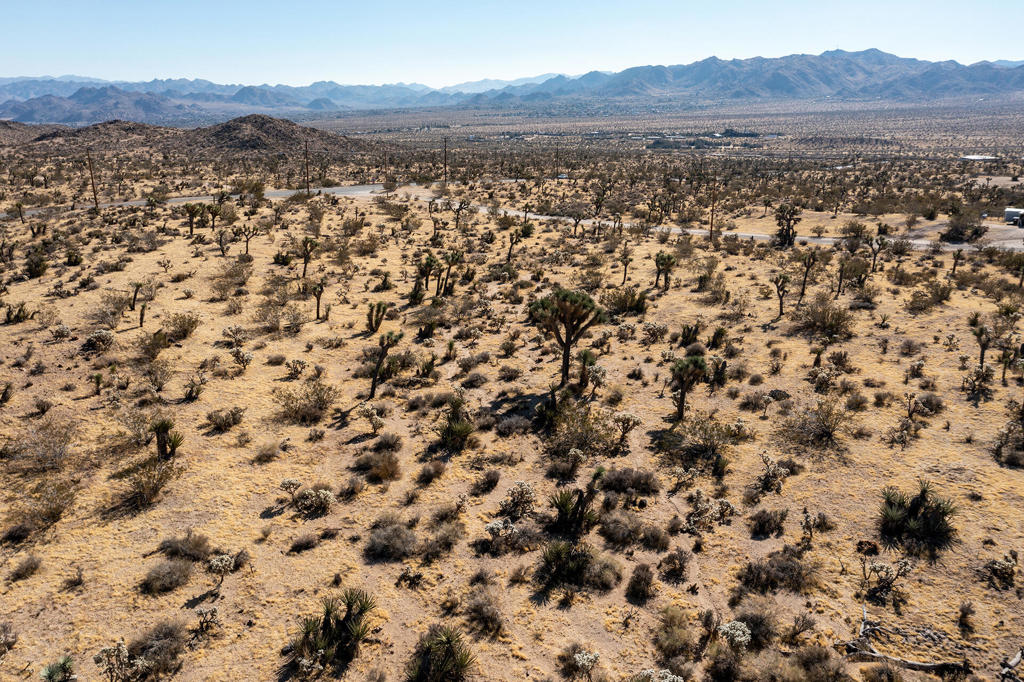 MLS #219130826PS image #2