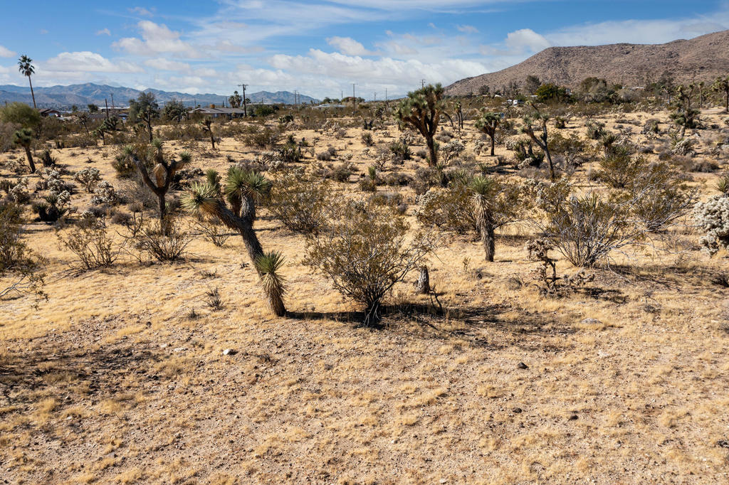 MLS #219130826PS image #5