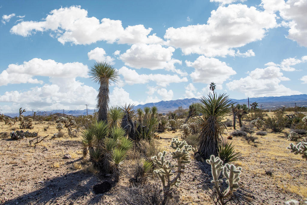 MLS #219130826PS image #7