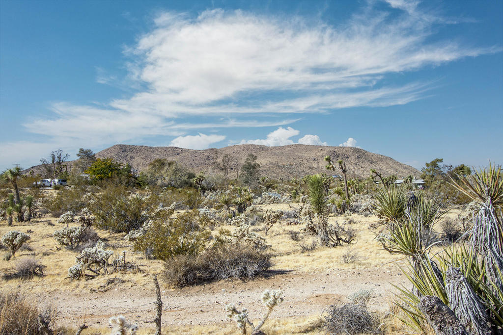 MLS #219130826PS image #9