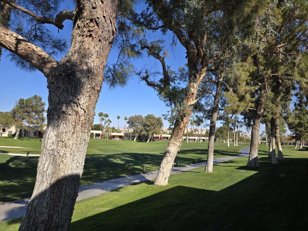 MLS #219130913DA image #16