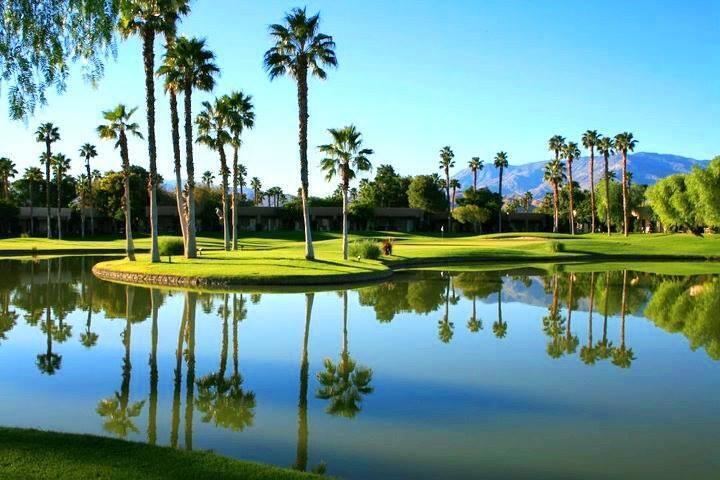 MLS #219130913DA image #22