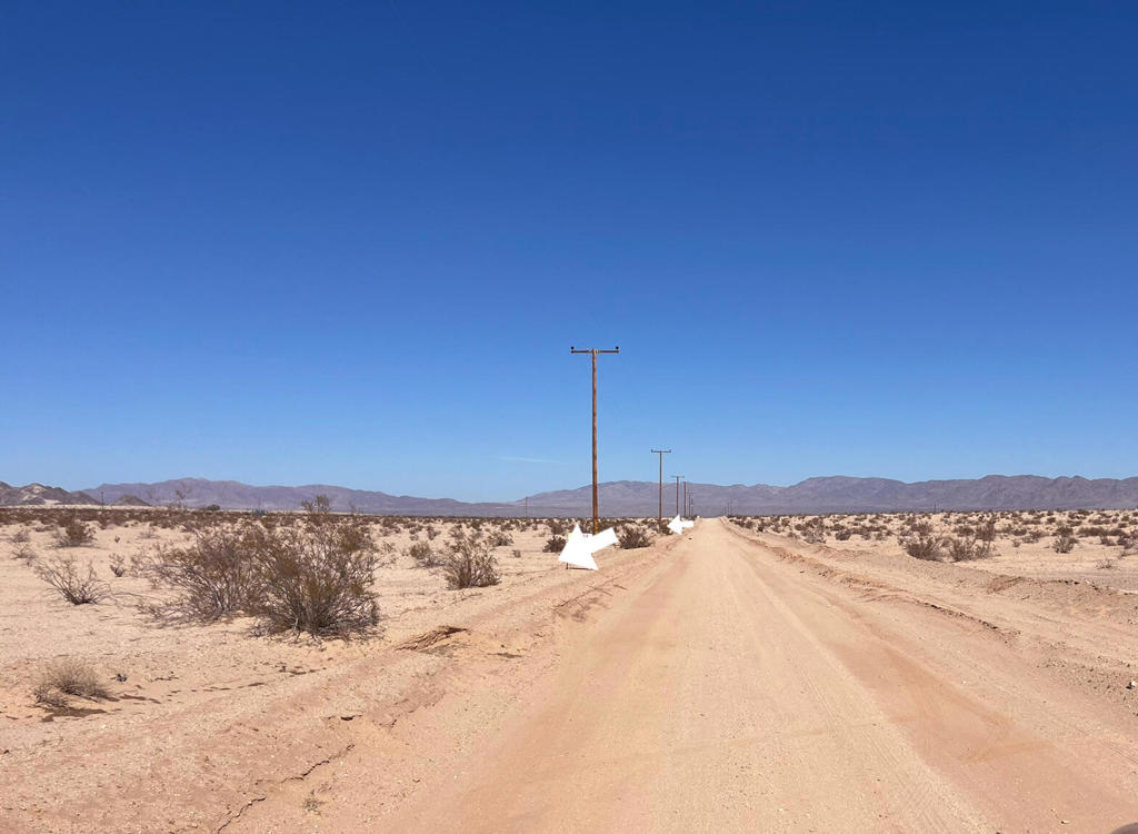 MLS #219128072PS image #6