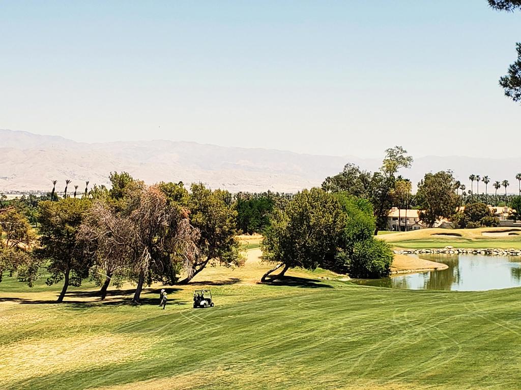 MLS #219131188DA image #20