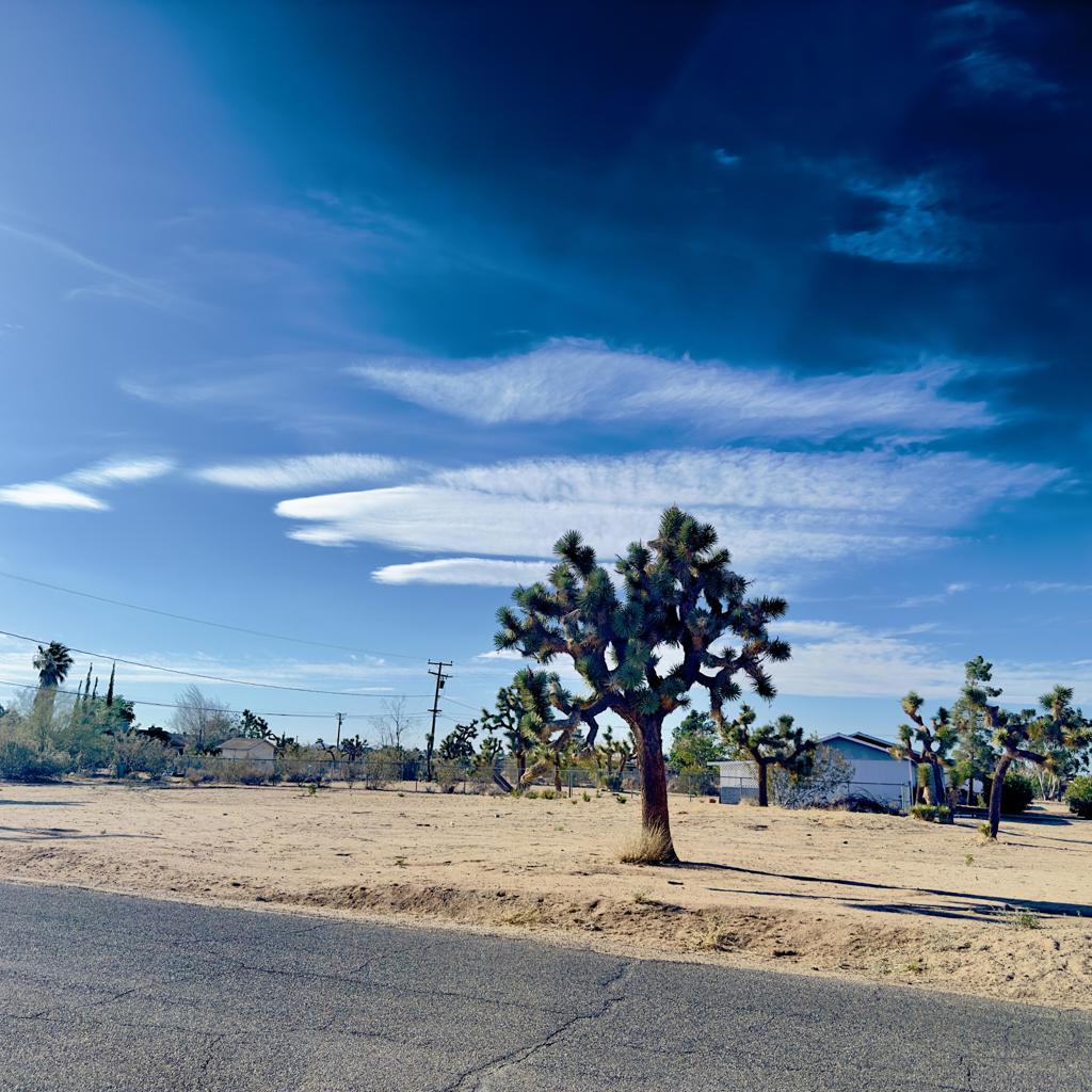 MLS #219131236DA image #1