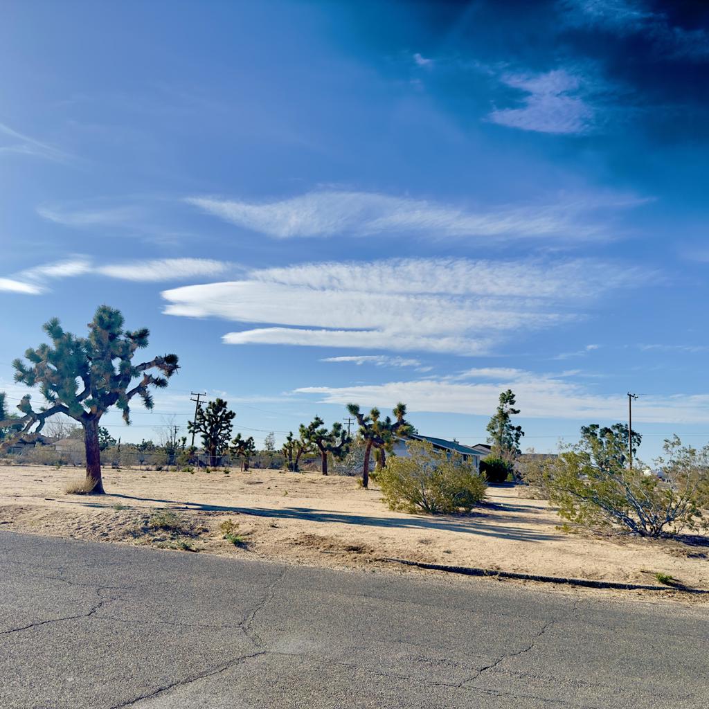 MLS #219131236DA image #3