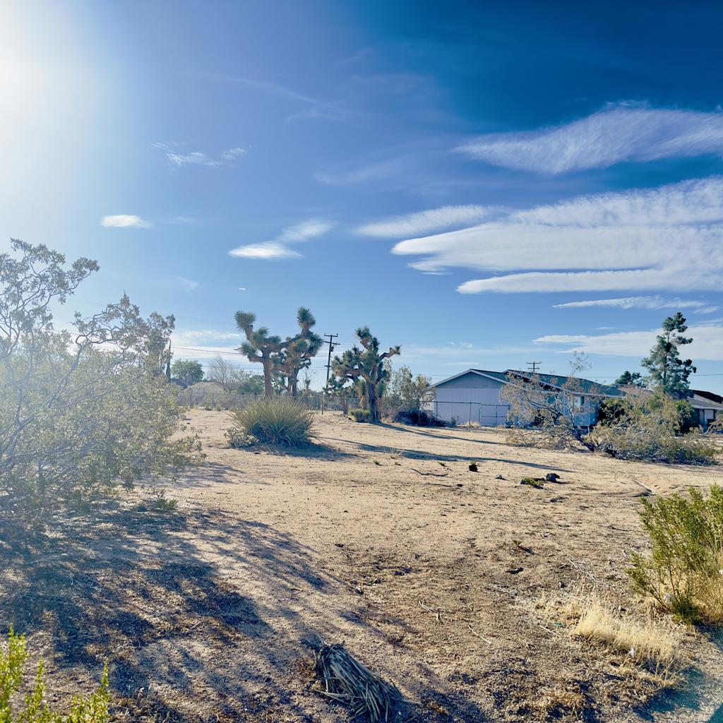 MLS #219131236DA image #5