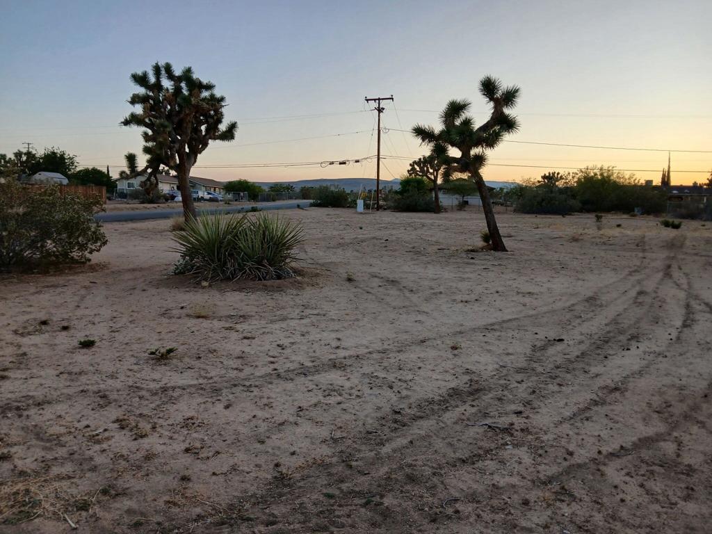 MLS #219131236DA image #7