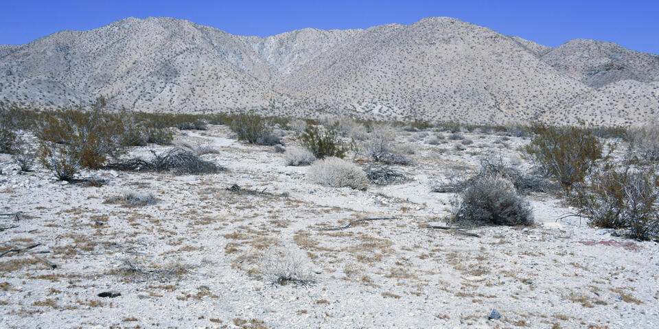 MLS #219131262PS image #1