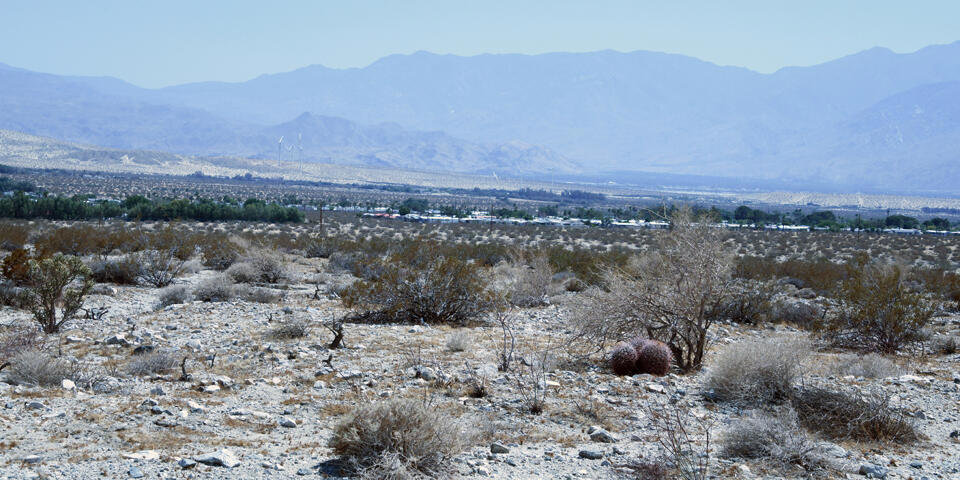 MLS #219131262PS image #2