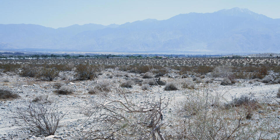 MLS #219131262PS image #3