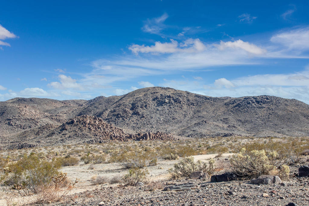 MLS #219131400PS image #14