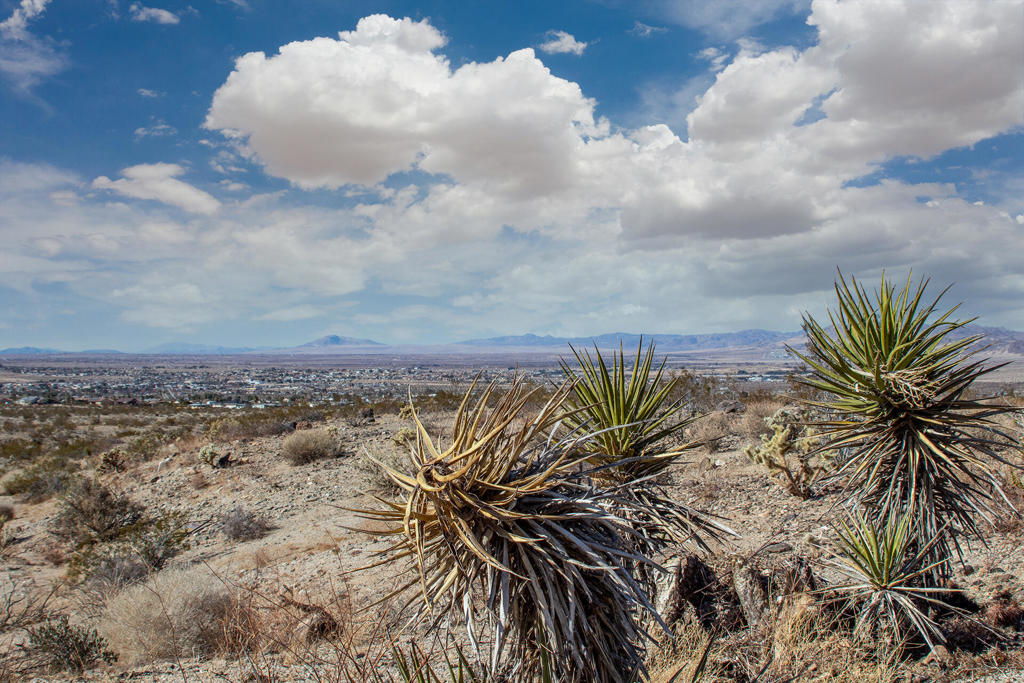 MLS #219131400PS image #17