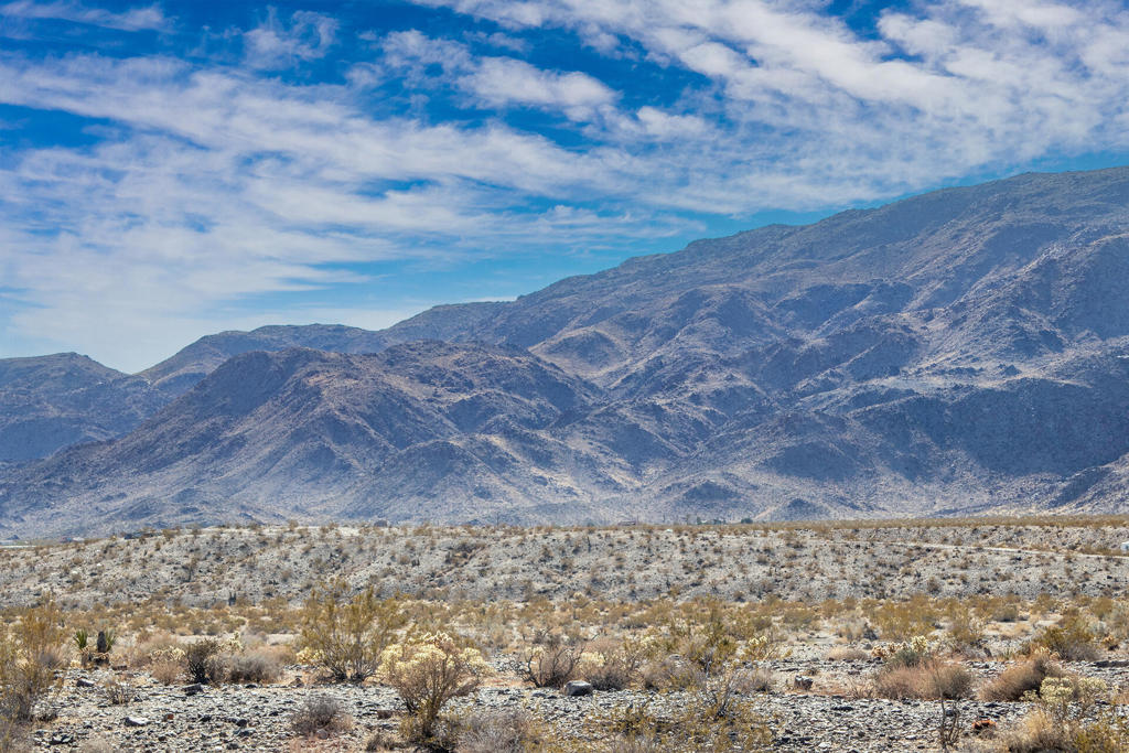 MLS #219131400PS image #19