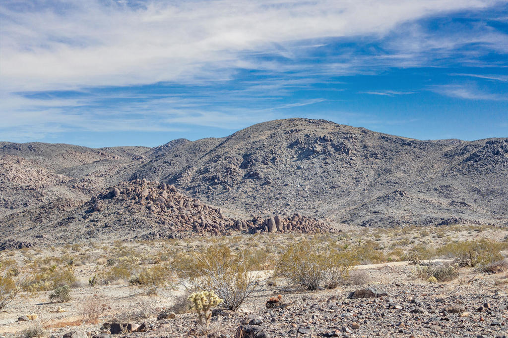 MLS #219131400PS image #20