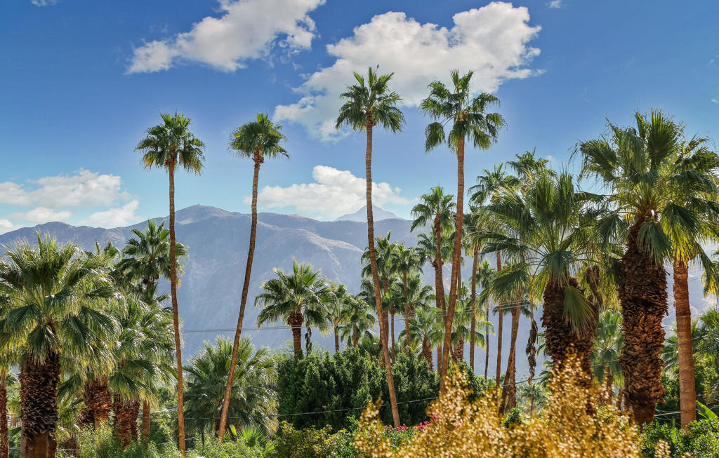 MLS #219131556PS image #22