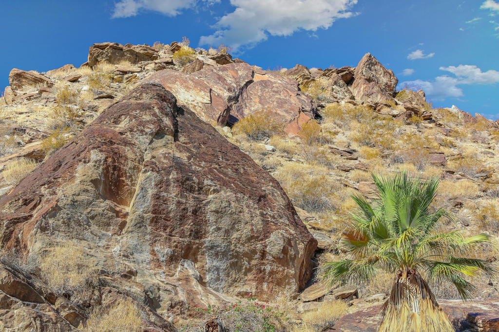 MLS #219131556PS image #23