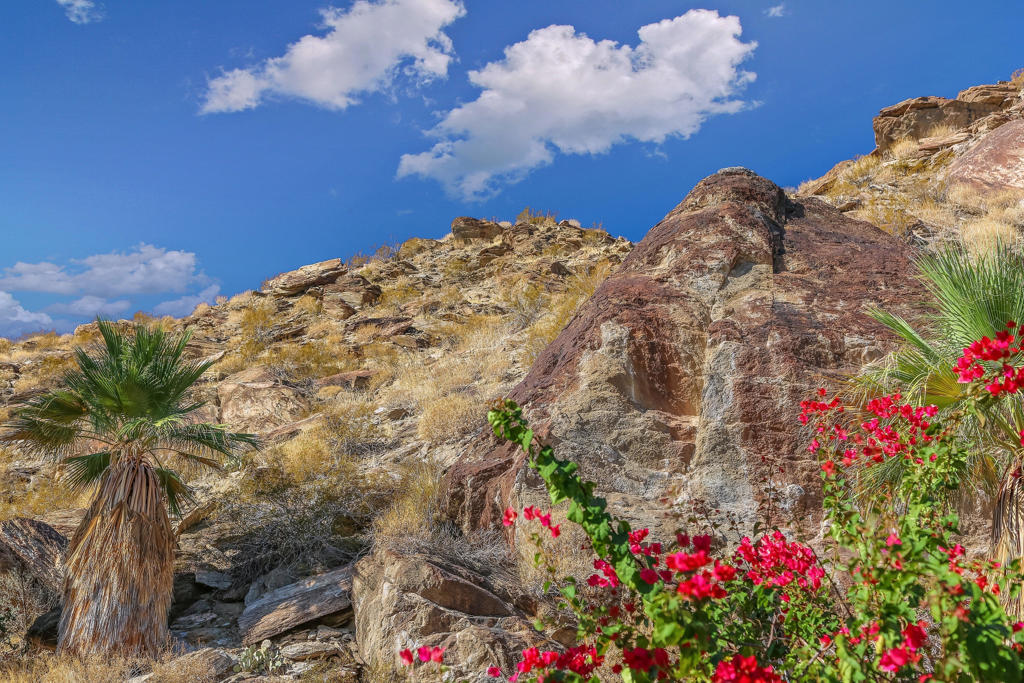 MLS #219131556PS image #24