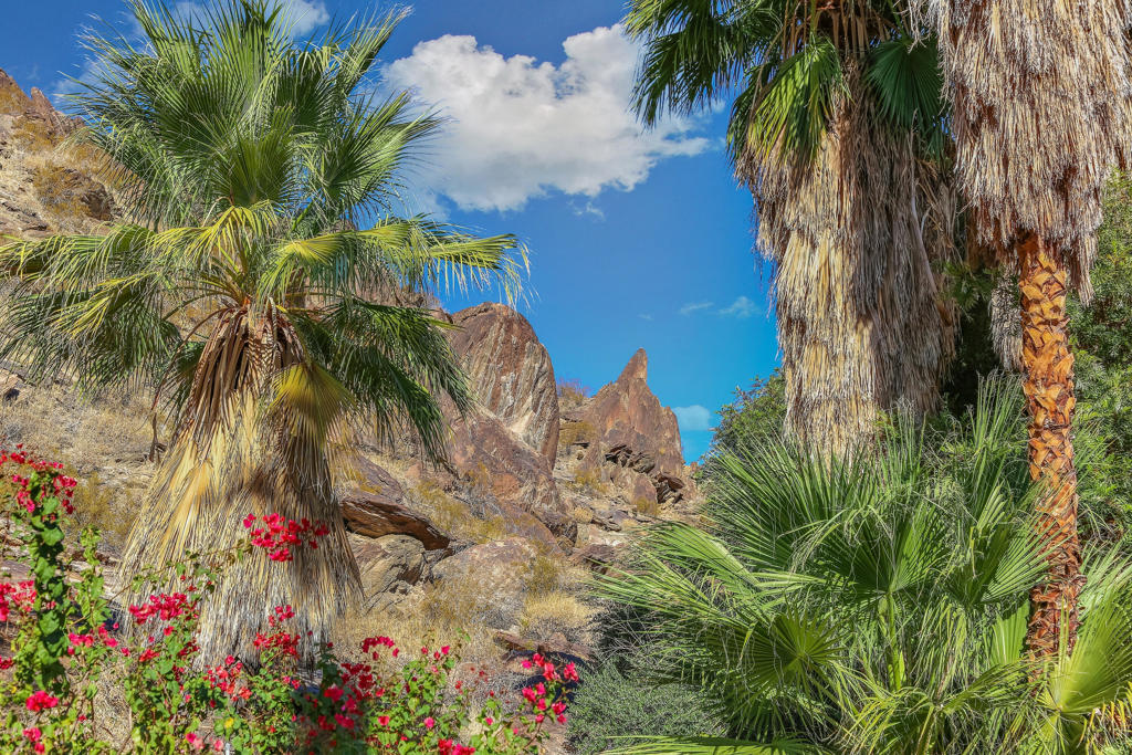 MLS #219131556PS image #25