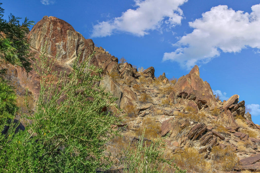 MLS #219131556PS image #29