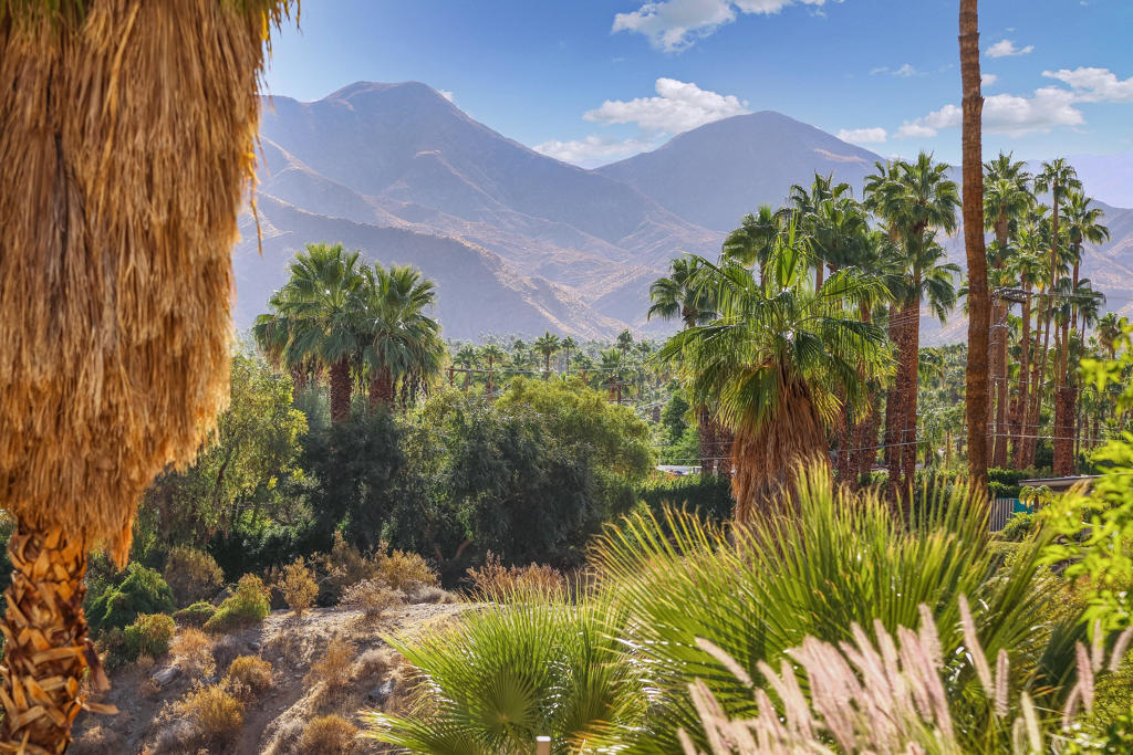 MLS #219131556PS image #30