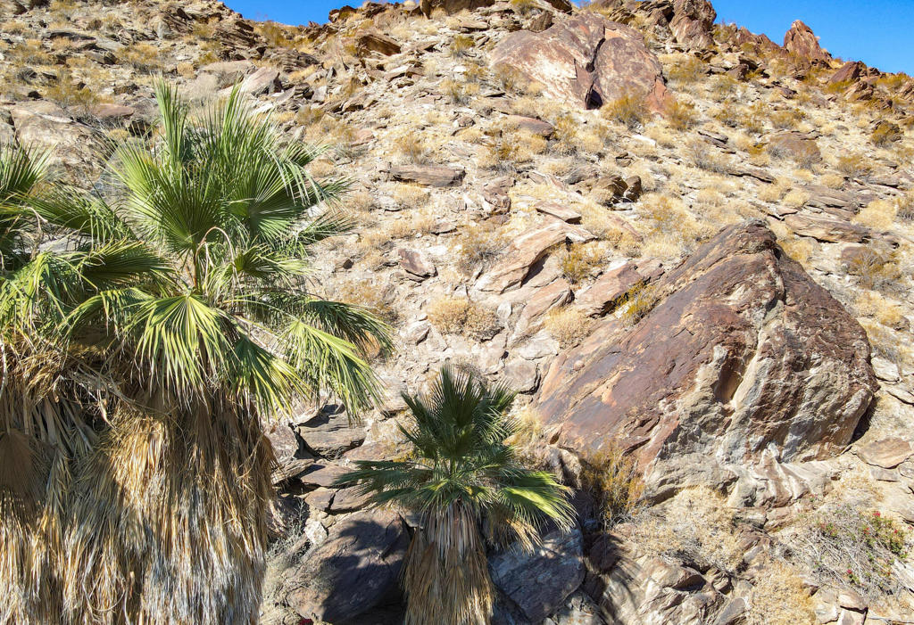 MLS #219131556PS image #31