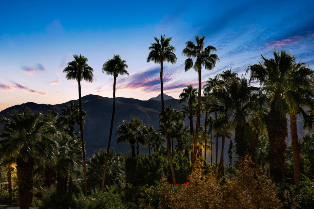 MLS #219131556PS image #33