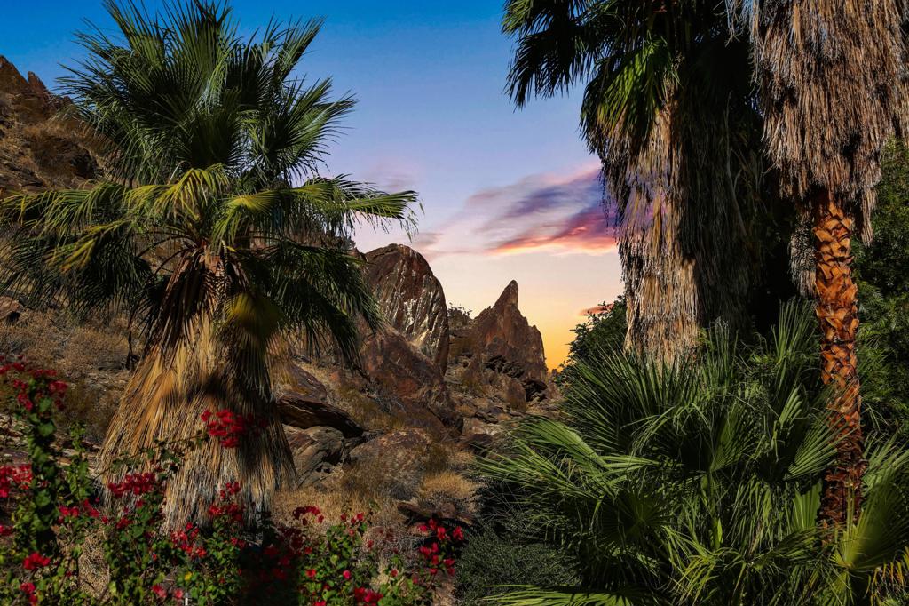 MLS #219131556PS image #34