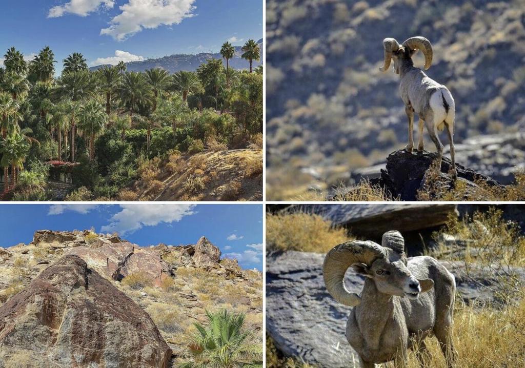 MLS #219131556PS image #41