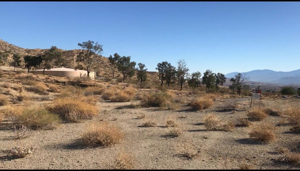 MLS #219131576PS image #2