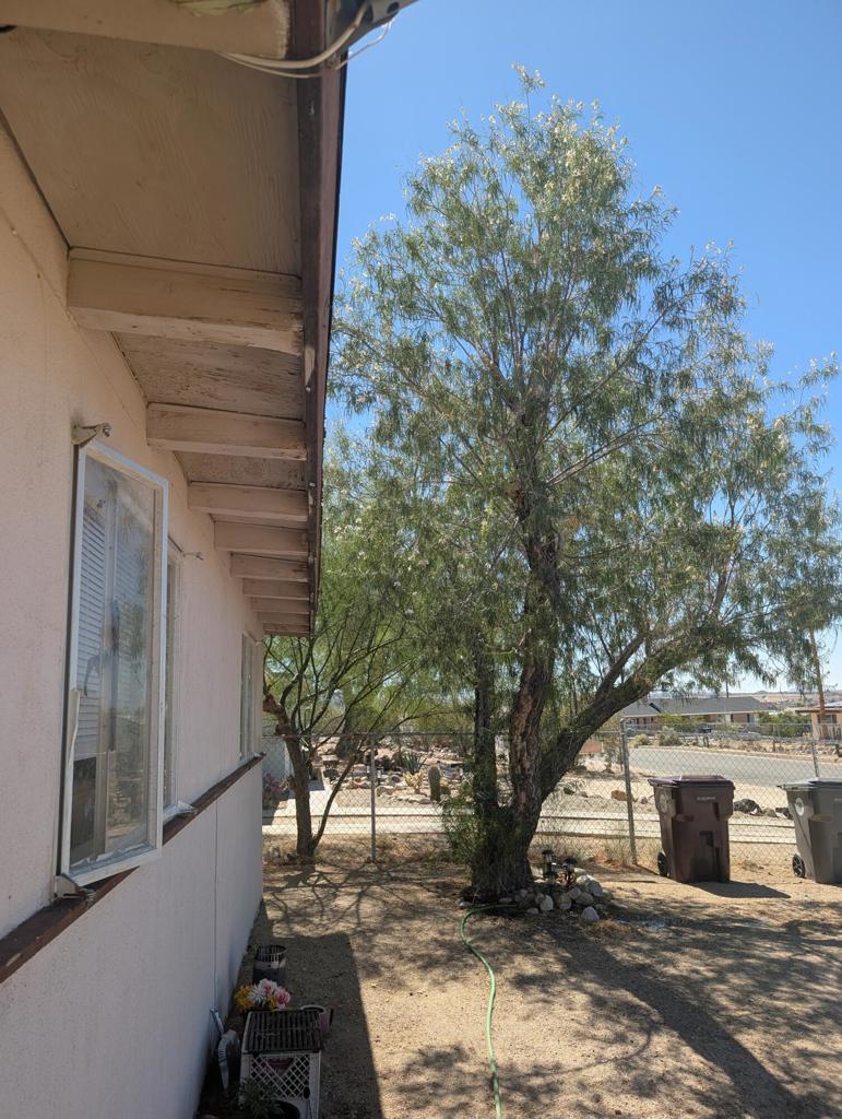 MLS #219131607DA image #9