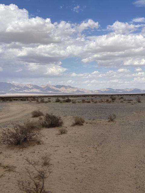 MLS #219131609DA image #11