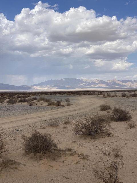 MLS #219131609DA image #12