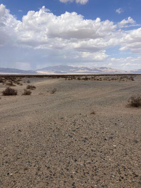 MLS #219131609DA image #4