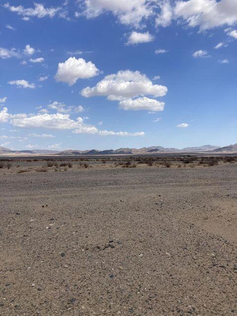 MLS #219131609DA image #5