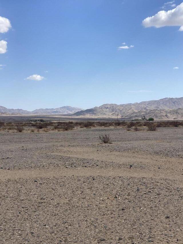 MLS #219131609DA image #7