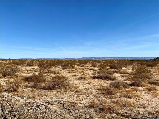 MLS #219131815DA image #3