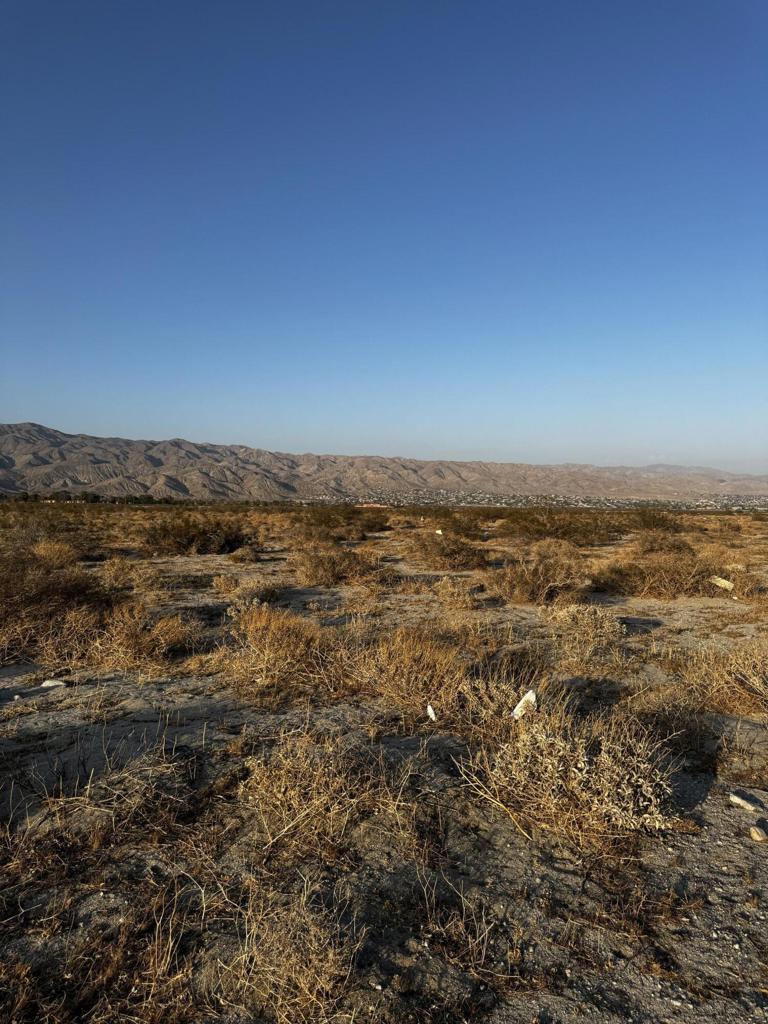 MLS #219131899DA image #1