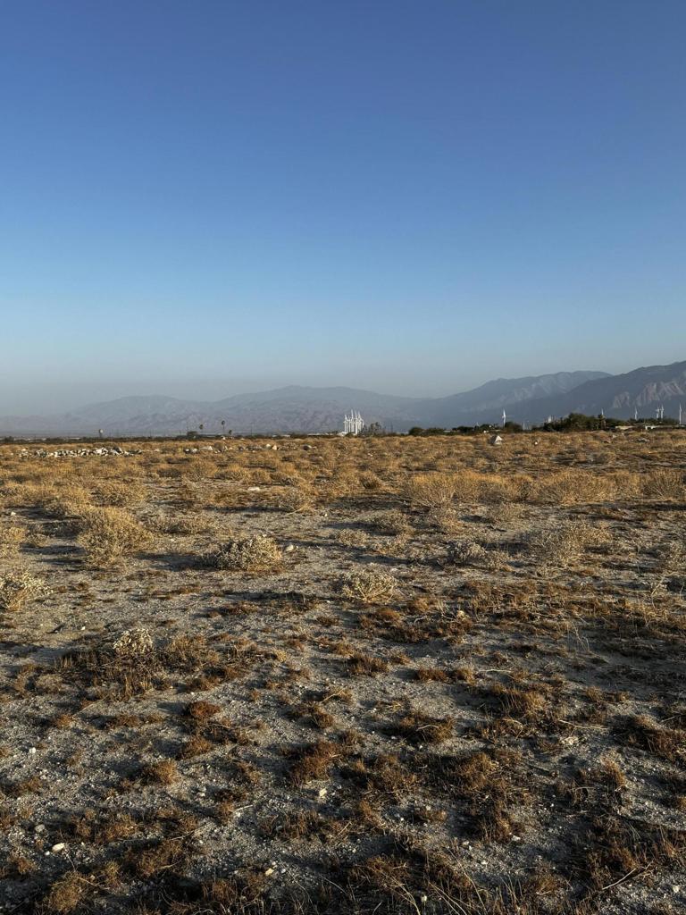 MLS #219131899DA image #2