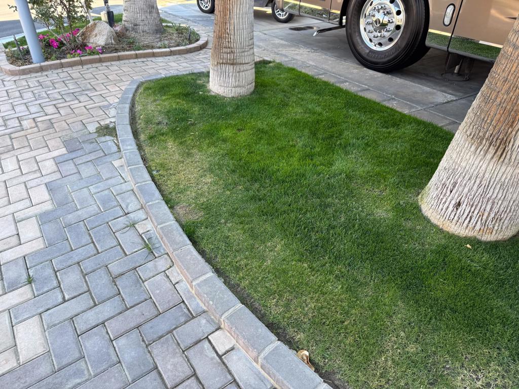 MLS #219132395DA image #9