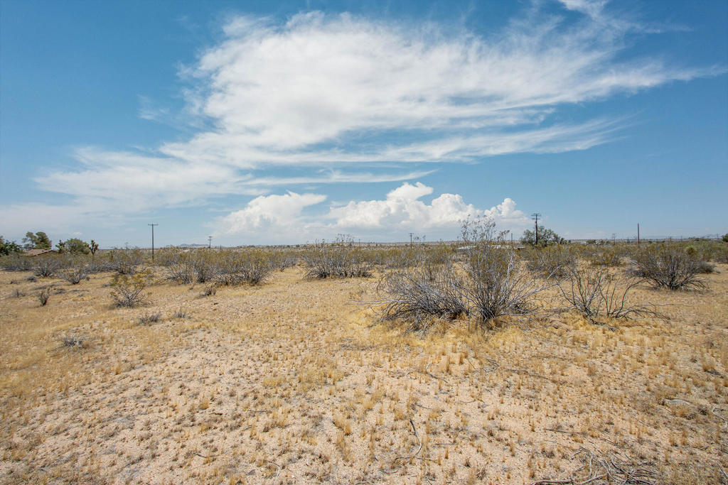 MLS #219132429PS image #3