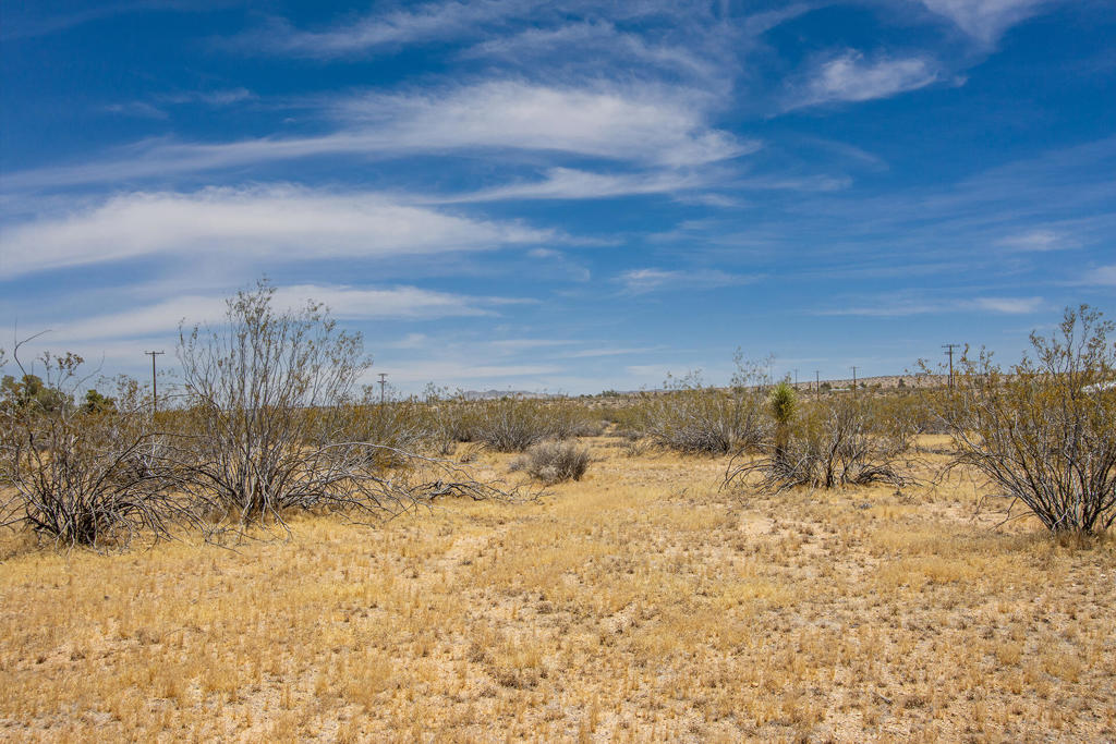 MLS #219132429PS image #4